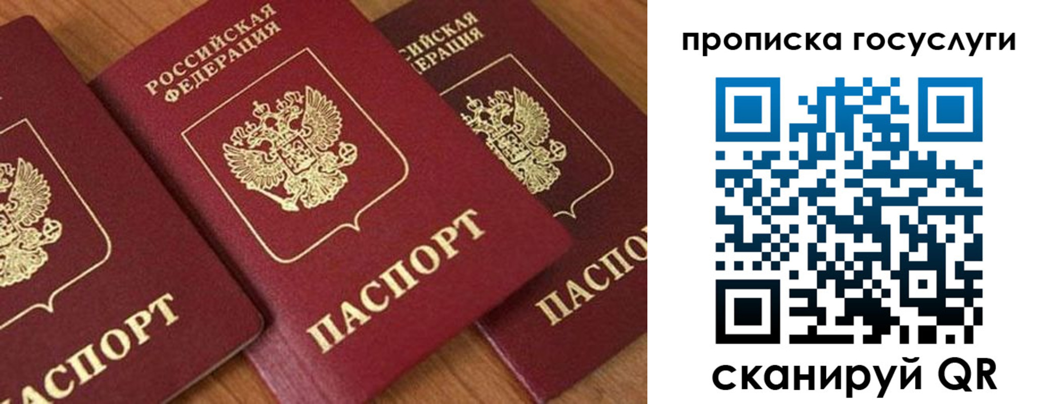 временная прописка в Архангельске